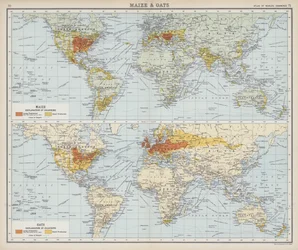 Maíz y avena (litografía en color)