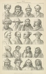 Hombre. Variedades de la raza humana