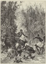 La expedición de rescate de Emin Pasha por el Sr. H. M. Stanley