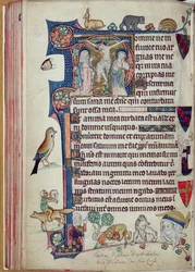 Ms 242 f.55v La Crucifixión, del Packham-Clifford Hours, Uso de Sarum, c.1314-31