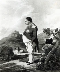 Napoleón en la isla de Santa Elena, 1820