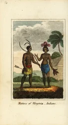 Nativos de Virginia, América