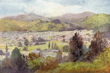 Nueva Zelanda: Nelson (litografía en color)