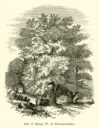 Roble de Enrique IV, en Fontainebleau (grabado)