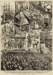 Nuestro comercio colonial de lana