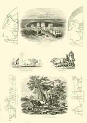 Página del Museo Pictórico de la Naturaleza Animada