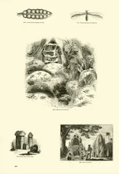 Página del Museo Pictórico de la Naturaleza Animada