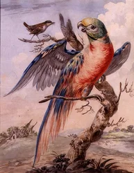 Loro