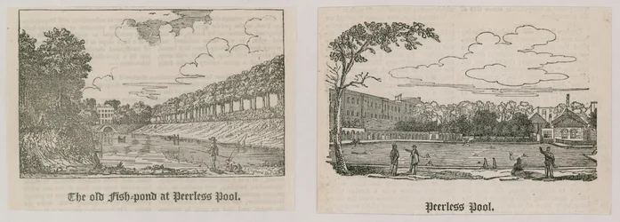 Peerless Pool