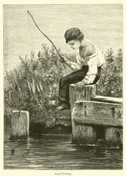 Pesca de perca