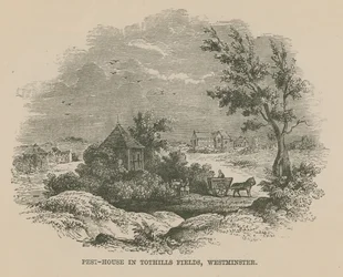 Casa de peste en Tothill Fields