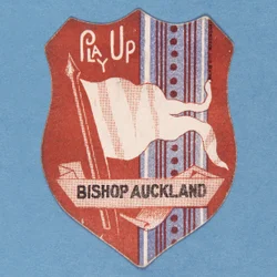 Juega Bishop Auckland
