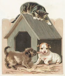 Cachorros y gatito juguetones