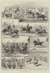 Polo en India