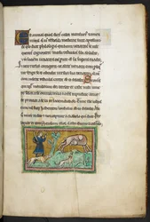 Real 12 F.XIII, f.14 Un lobo (?) con sangre saliendo de su boca, y un cazador con perros, del Bestiario de Rochester, 2º cuarto del siglo XIII