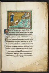 Real 12 F.XIII, f.20 Un cazador o granjero con perros, persiguiendo cabras.  Bestiario (ff. 3-141), Lapidario (ff. 141v-149)  2do cuarto del siglo XIII