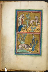 Real 12 F.XIII, f.5v Arriba: tres hombres, uno de ellos inclinándose ante un león; abajo: un león agazapado al pie de un árbol, con un gallo sentado encima.  de Bestiario (ff. 3-141), Lapidario (ff. 141v-149)  2do cuarto del siglo XIII
