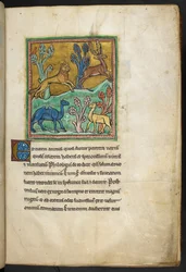 Real 12 F.XIII, f.7   Un leopardo persiguiendo a un ciervo, con un camello y otro animal.  de Bestiario (ff. 3-141), Lapidario (ff. 141v-149)  2do cuarto del siglo XIII