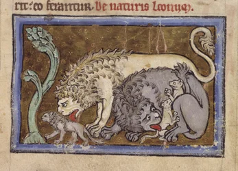 Royal MS 12 C XIX, f.6r Lions, from 