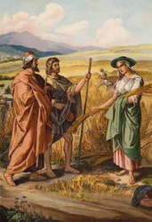 Rut preguntando a Booz si puede espigar en su campo (chromolitho)
