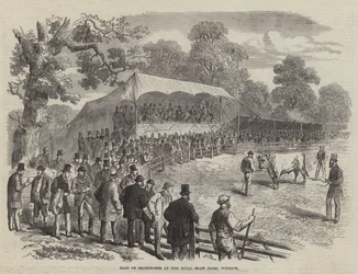 Venta de Shorthorns en la Granja Real Shaw, Windsor