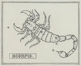 Signos del zodiaco: Escorpio