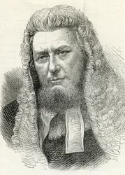 Sir Richard Paul Amphlett (1809-83) de The Illustrated London News 7 de febrero de 1874