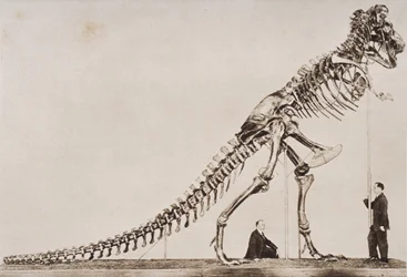 Esqueleto del Tyrannosaurus Rex, en el Museo Americano de Historia Natural, de 