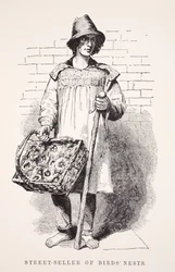 Vendedor callejero de nidos de pájaros, ilustración de London Labour and London Poor por Henry Mayhew, pub. 1862