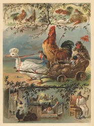 El gallito y la paleta (cromolito)