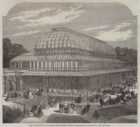 El invernadero en los Jardines de la Sociedad Real de Horticultura, South Kensington (grabado)