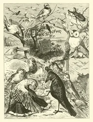 La muerte y el entierro de Cock Robin