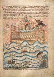 La paloma y el cuervo, del "Libro ilustrado de la Biblia de Holkham", c.1320-30 (acuarela sobre papel)