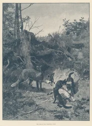 El destino de nuestro ganso de Navidad (grabado)