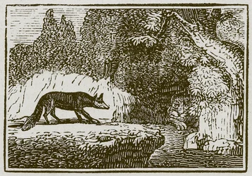 La zorra y el león enfermo (grabado)