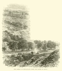 El Jardín de Getsemaní, desde las laderas de Olivet