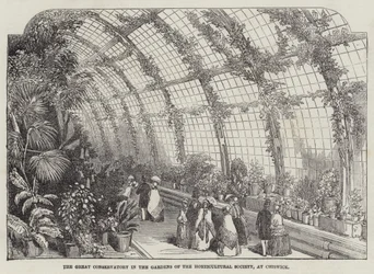 El gran invernadero en los jardines de la Sociedad de Horticultura, en Chiswick