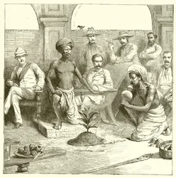 El truco de la planta india