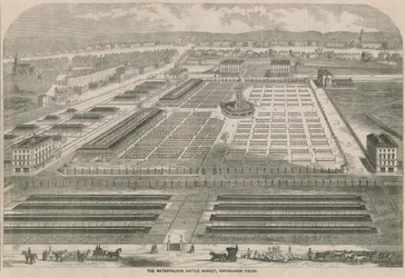 El Mercado de Ganado Metropolitano, Copenhagen Fields, Londres