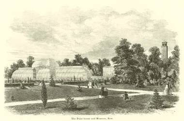 La casa de las palmas y el museo, Kew
