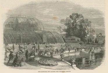 La Casa de las Palmas, Kew Gardens, Londres
