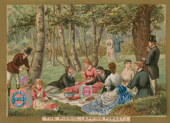 El picnic, bosque de Epping