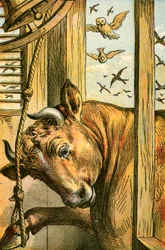 El toro tocando la campana