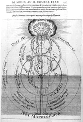 El día y la noche del Microcosmos, de 