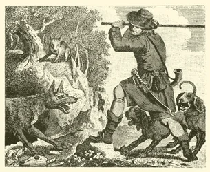 El zorro y el lobo (grabado)