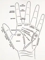 El monte aras de la mano