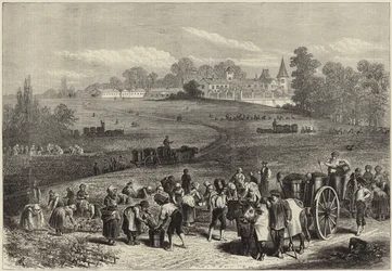 La vendimia en Medoc