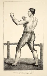 Thomas Cribb, Campeón de Inglaterra, del cuadro de De Wild