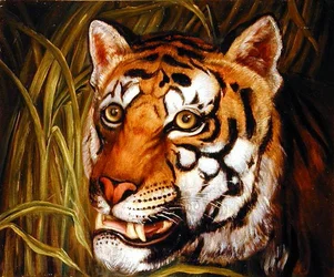 Tigre, tigre ardiendo brillante...