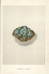 Turquesa en la matriz, de "Precious Stones and Gems" de Edwin Streeter, Londres, George Bell & Sons